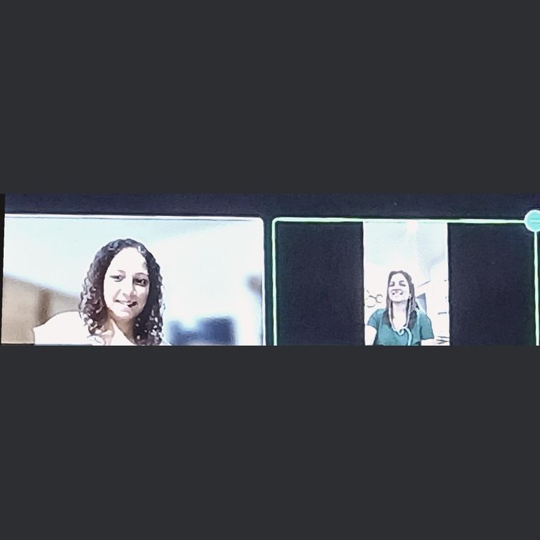 Online image consulting session held over video call with an international client